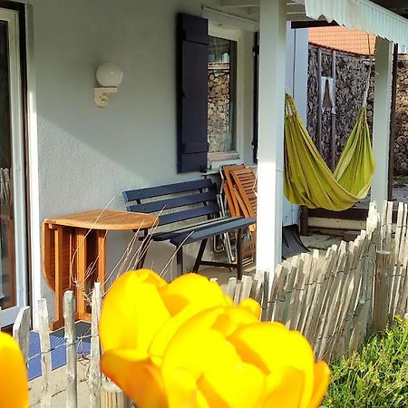 Ferienwohnung Schuhmacherwerkstatt Wilhelm Wendel Loßburg Екстериор снимка